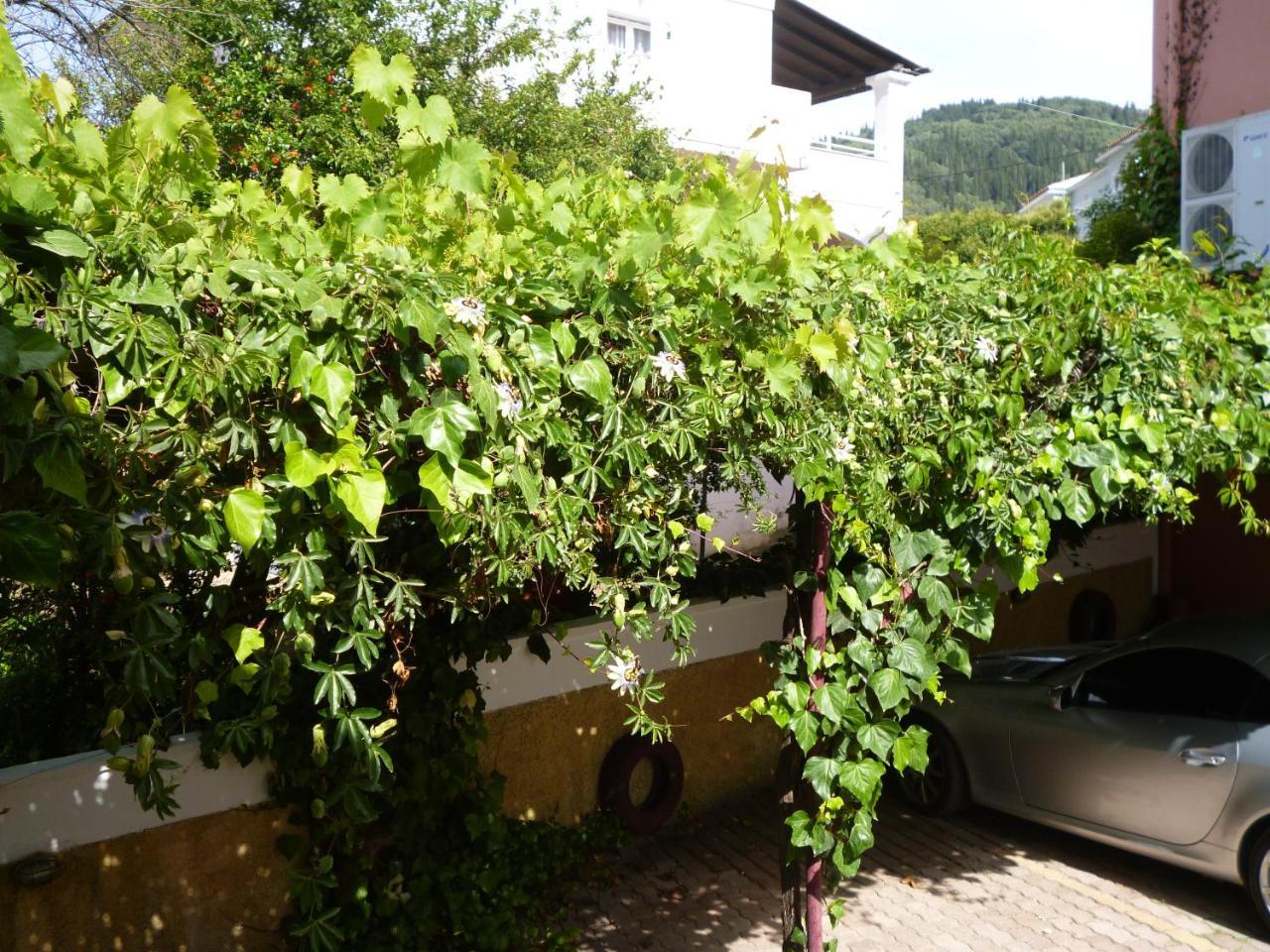 Kostas Studios Agios Georgios Pagon Exterior photo