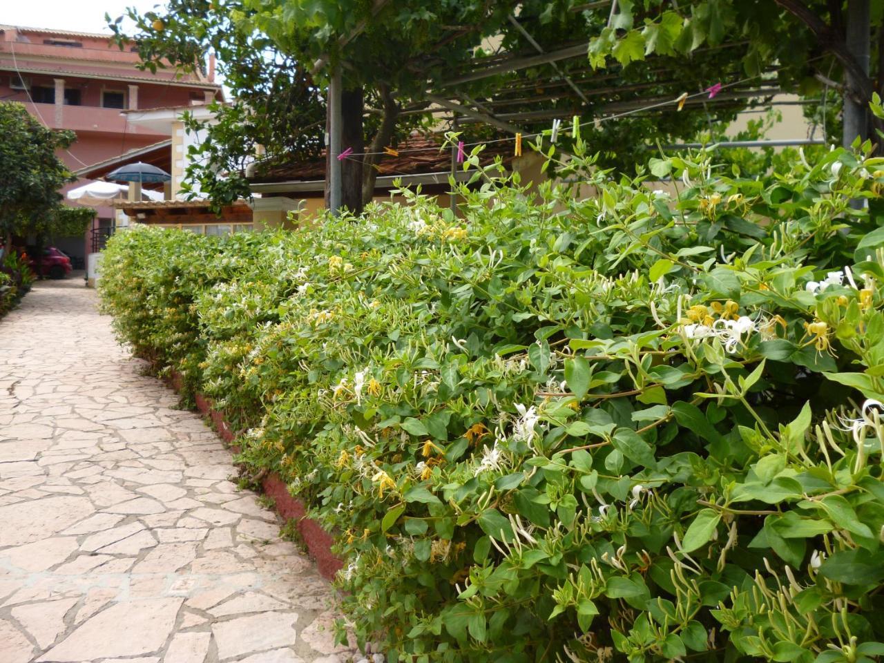 Kostas Studios Agios Georgios Pagon Exterior photo